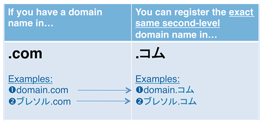 IDN Priority Access Program